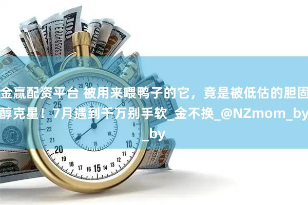 金赢配资平台 被用来喂鸭子的它，竟是被低估的胆固醇克星！7月遇到千万别手软_金不换_@NZmom_by