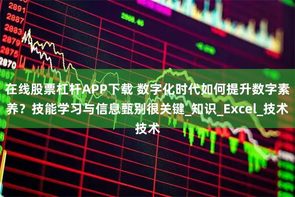 在线股票杠杆APP下载 数字化时代如何提升数字素养？技能学习与信息甄别很关键_知识_Excel_技术