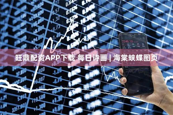 旺鼎配资APP下载 每日诗画 | 海棠蛱蝶图页